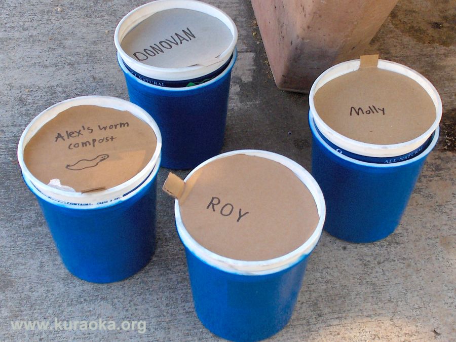 Mini Worm Composting Bins: A great project for kids